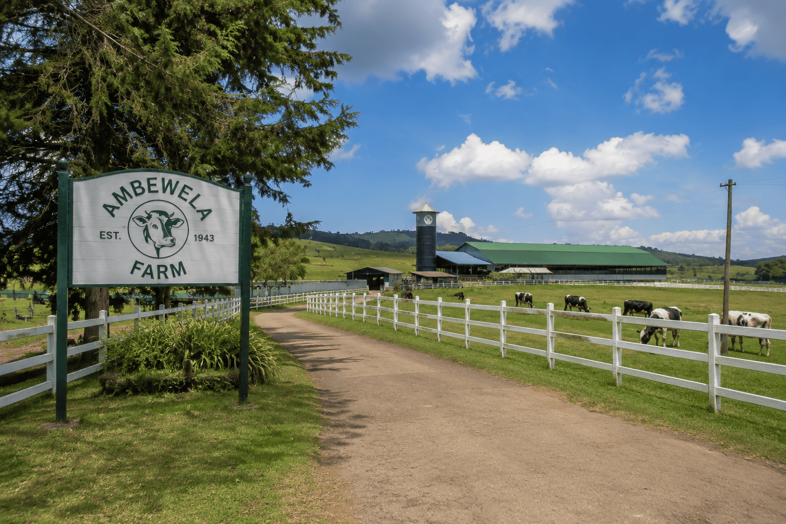 Visit Ambewela Farm in Sri Lanka’s Hill Country